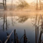 Lago calmo com neblina ao amanhecer, imagem da ataraxia, a tranquilidade perfeita
