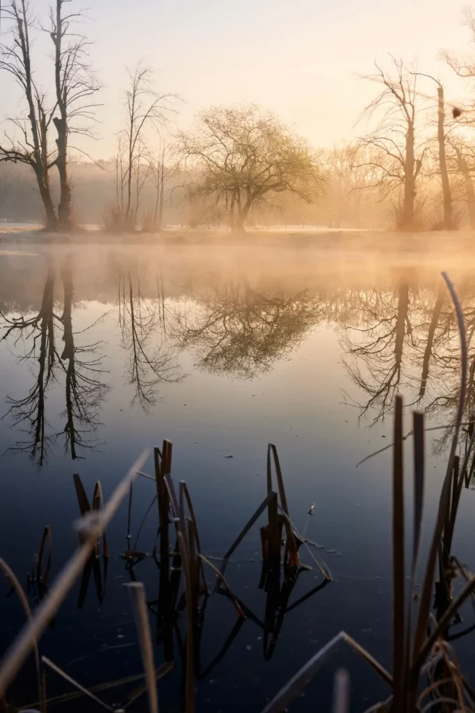 Lago calmo com neblina ao amanhecer, imagem da ataraxia, a tranquilidade perfeita