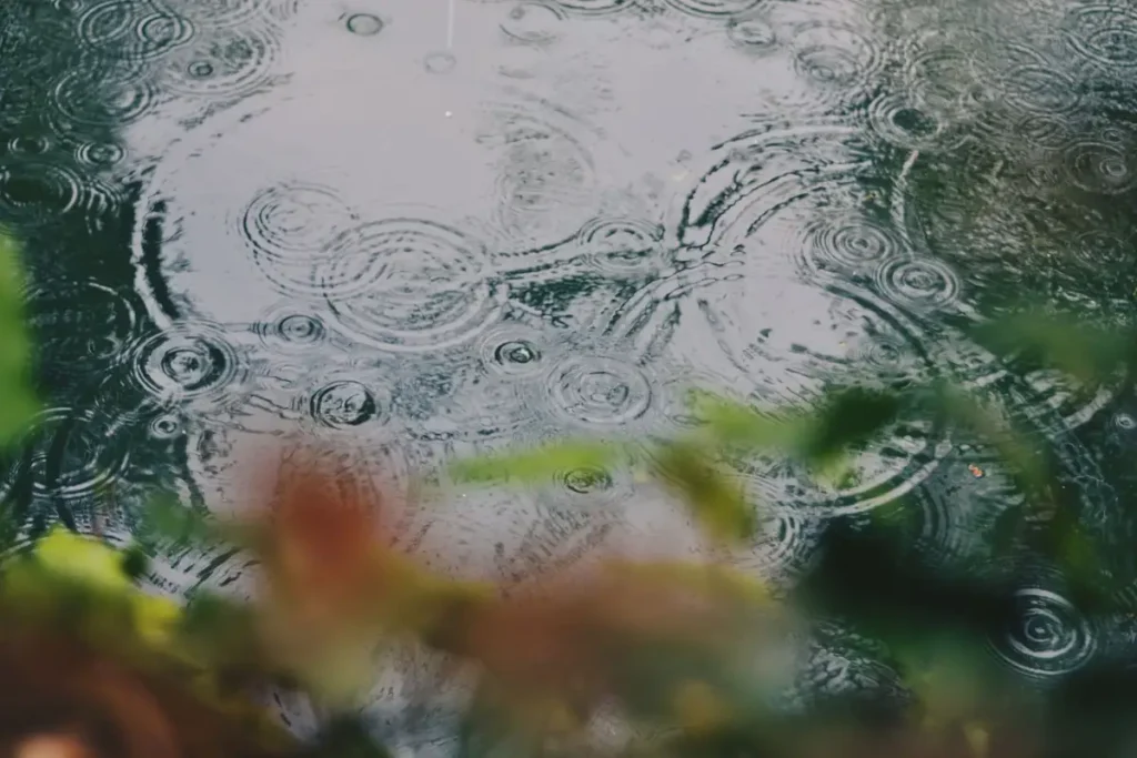 Gotas de chuva formando círculos concêntricos na água