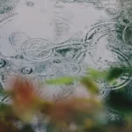 Gotas de chuva formando círculos concêntricos na água