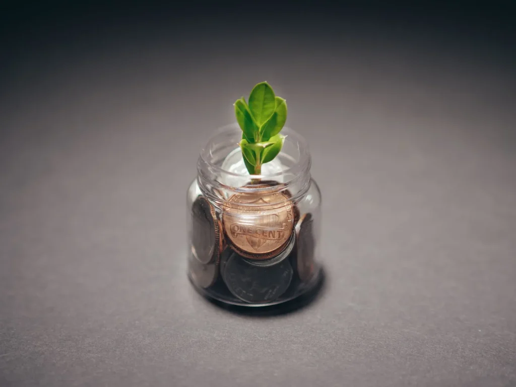 Planta crescendo em um pote de moedas, tema de estoicismo e dinheiro