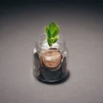 Planta crescendo em um pote de moedas, tema de estoicismo e dinheiro