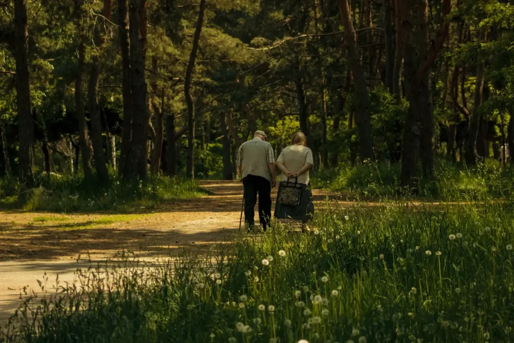 Casal de idosos caminhando de mãos dadas num caminho da floresta, tema de estoicismo e envelhecimento