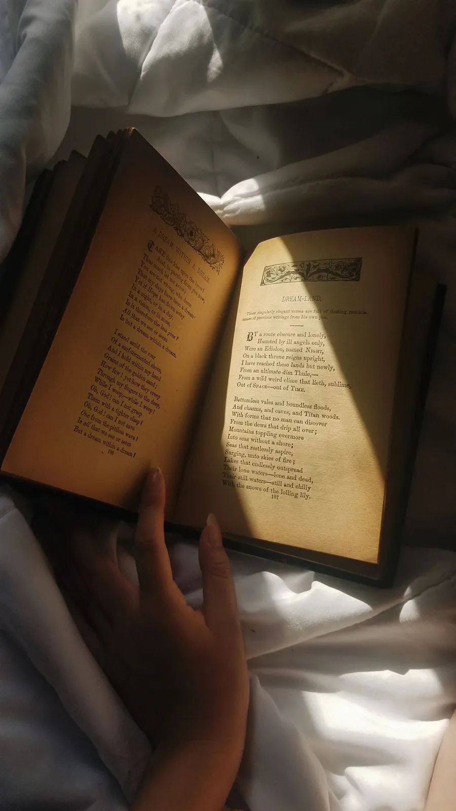 Mão segurando livro aberto sob luz suave, momento de leitura e reflexão