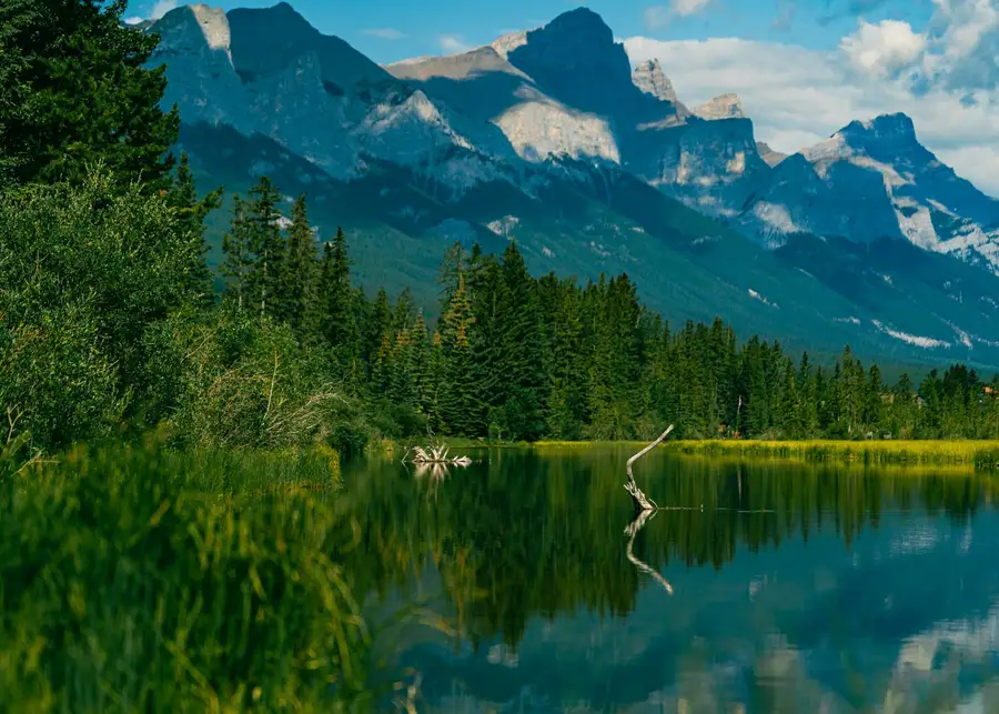 Lago tranquilo entre montanhas, refletindo a floresta